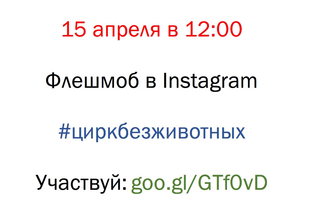Instagram-флешмоб за цирк без животных | Центр защиты прав животных «ВИТА»
