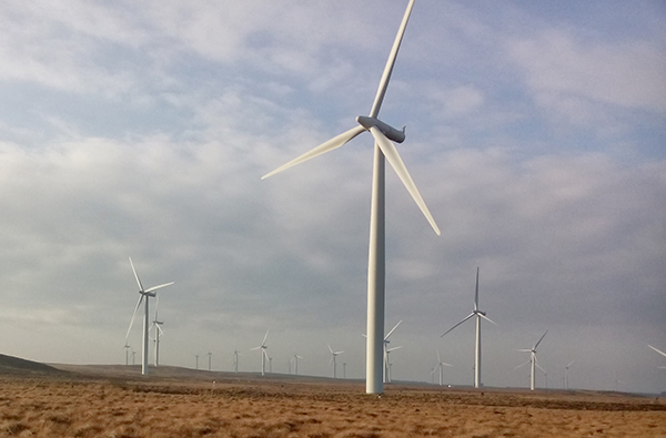 Wind farm alters the local climate of a Scottish peatland | Centre for Ecology & Hydrology