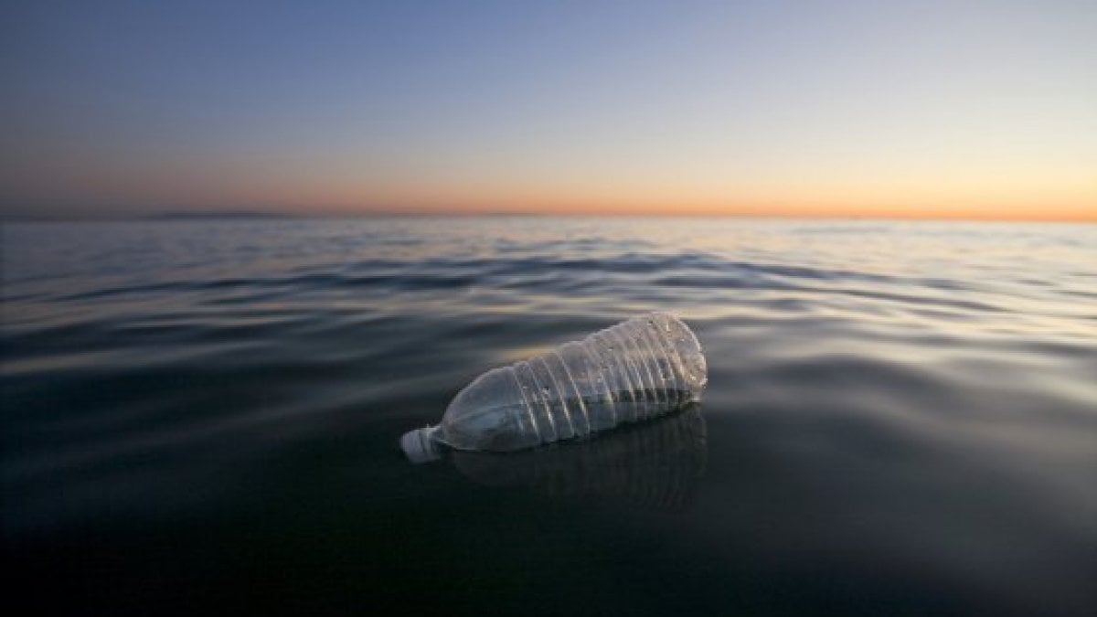 "Servono più studi per capire quali sono i rischi delle microplastiche nell'acqua" - Repubblica.it