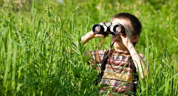 Juegos para sensibilizar a los niños sobre la importancia de la Naturaleza