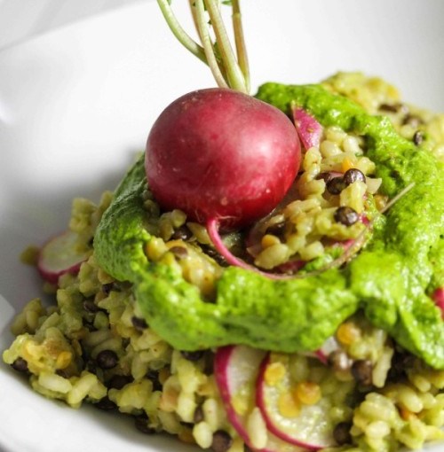 Grünes Radieschenpesto-Risotto | minzgrün