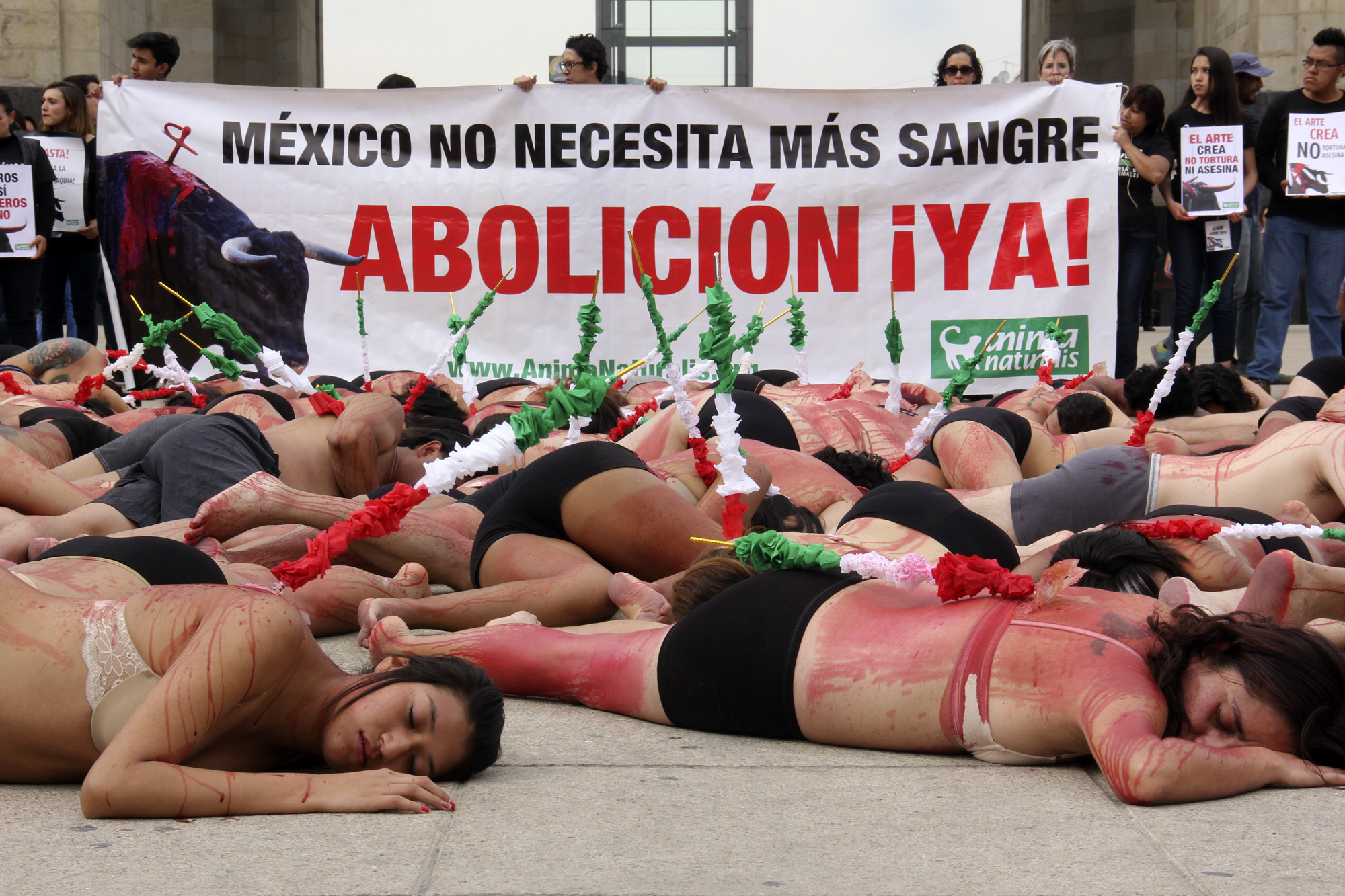 Activistas en México exigen prohibición de las corridas de toros