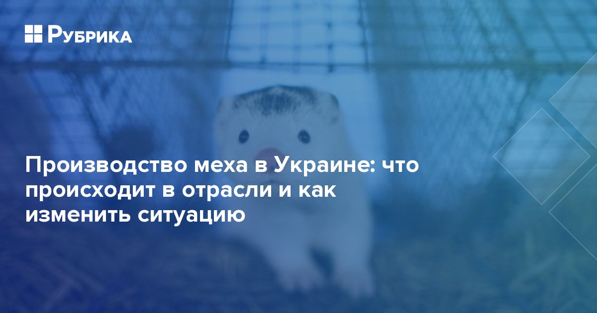 Производство меха в Украине: что происходит в отрасли и как изменить ситуацию | Рубрика