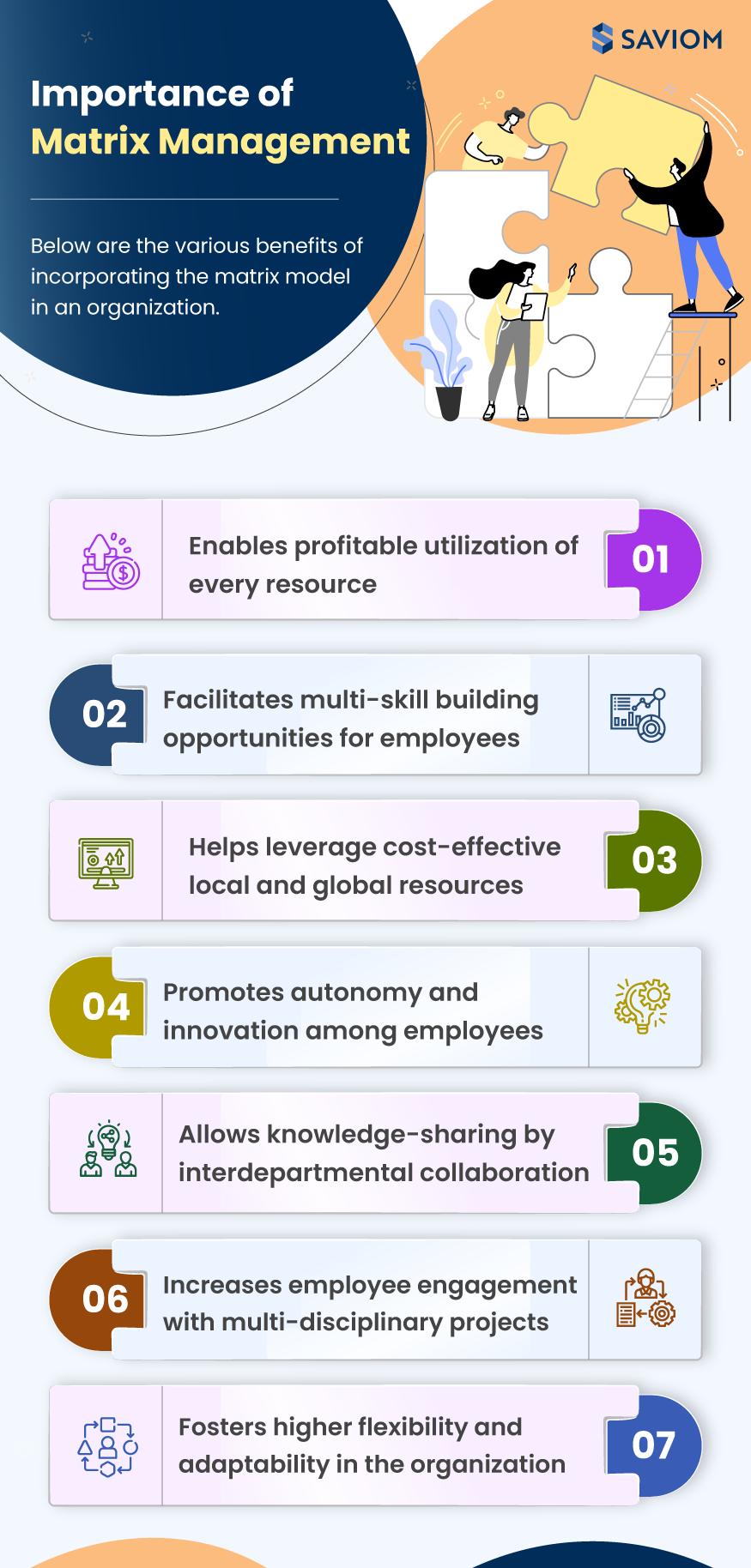 Infographic - What Is Matrix Management and Why Is It Important?