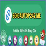 Soicautop247 me