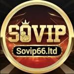 SOVIP66 Profile Picture