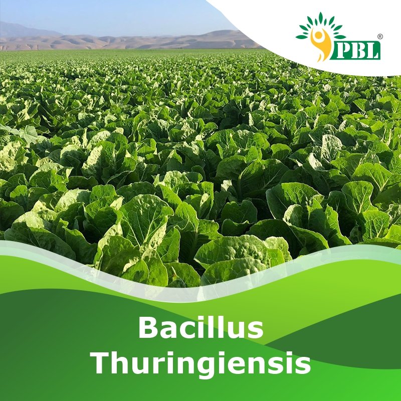 Bacillus thuringiensis Biopesticides | Manufacturer & Exporter - Peptech