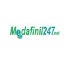 modafinil hamilton Profile Picture