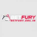 BetFury  We share profit with you Profile Picture