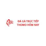 Đá Gà Trực Tiếp Thomo Hôm Nay Profile Picture