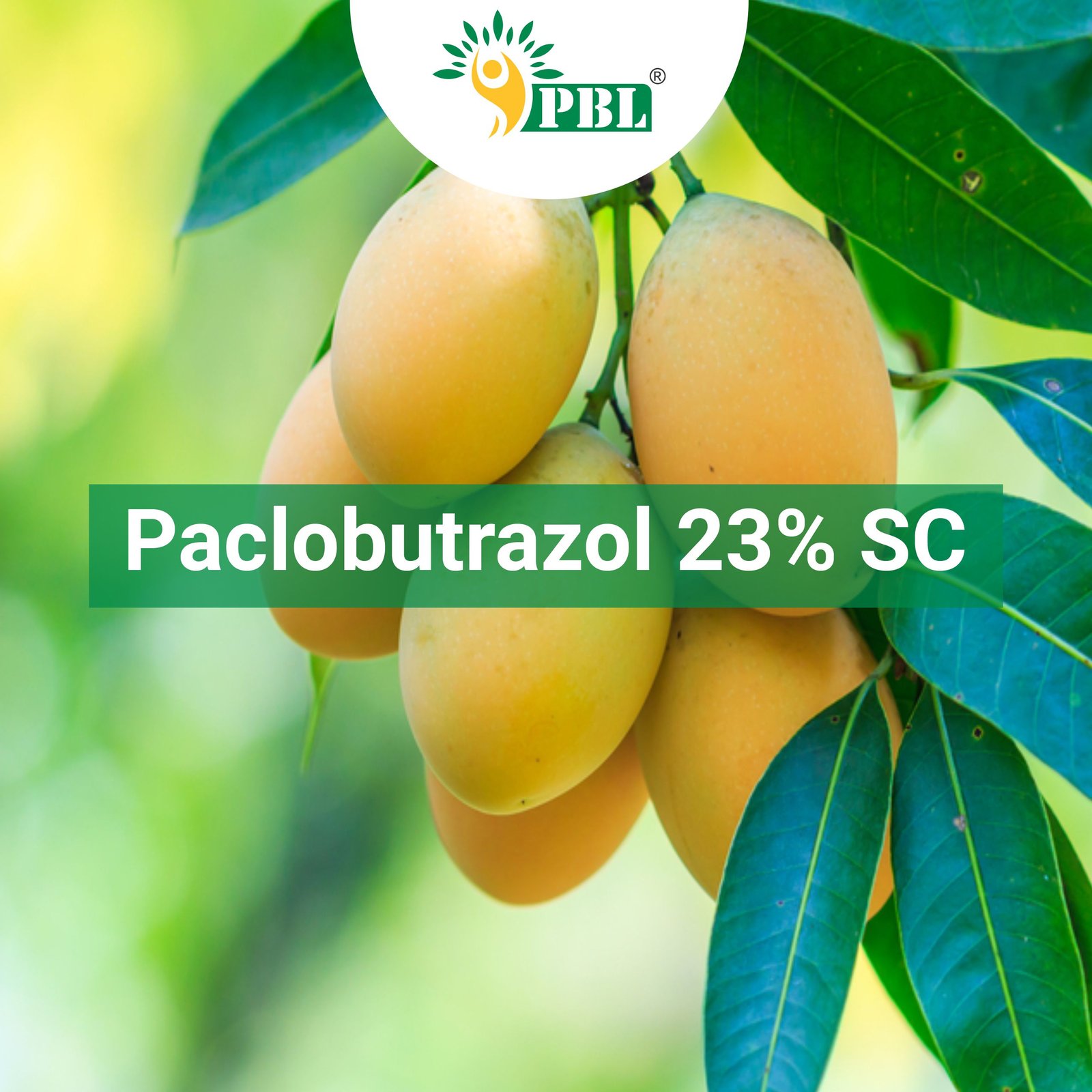 Paclobutrazol 23% SC | B2B PGRs Manufacturer & Exporter - Peptech Bio