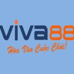 Viva88 Casino