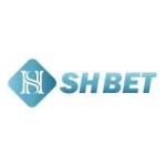 SHBET1 cfd