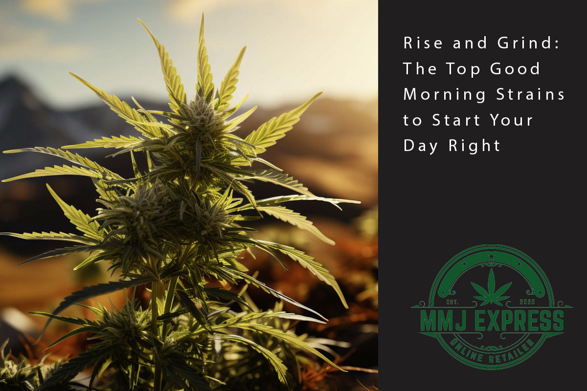 Rise and Grind: The Top Good Morning Strains to Start Your Day Right! - MMJ Express