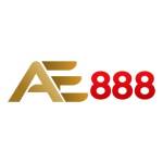 AE888 Support