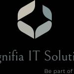 magnifia solutions profile picture