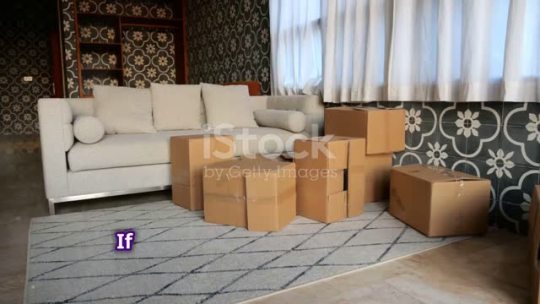 If your living room looks like a cardboard jungle, you need some moving magic. We’ve got you covered! Moving in 2024 doesn’t... – @moversnotshakersusa on Tumblr