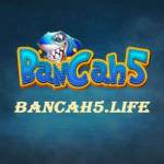 BANCA H5 profile picture