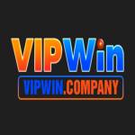 vipwin company