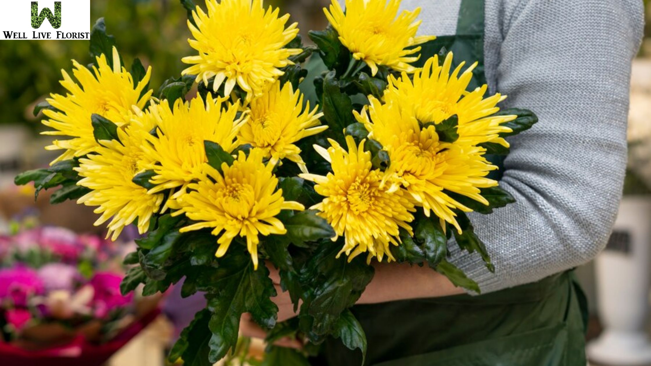 Sunflower Bouquet Means and How to Care for It in Singapore