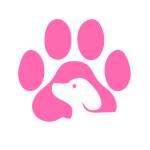 Small Paws Big Hearts Rescue Profile Picture