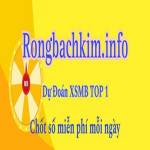 Rồng Bạch Kim Info Profile Picture