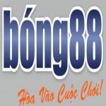 Bong88 com vc profile picture