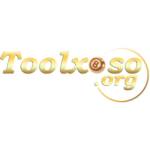 Toolxoso Profile Picture