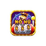 Nohu88 Profile Picture