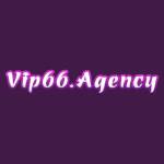 Vip66 Agency profile picture