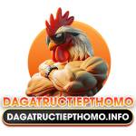 dagatructiepthomo info Profile Picture