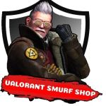 Valorant Smurf Shop Profile Picture