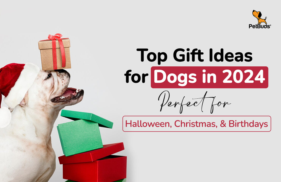 Top Dog Gift Ideas in 2024: Best for Halloween, Christmas and Birthdays  – PetBuds