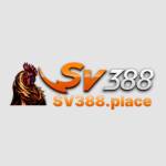 SV388 Profile Picture