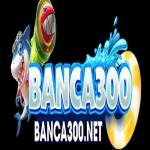 Banca30 net profile picture