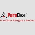 PuroClean Emergency Services profile picture