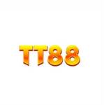 TT88 profile picture