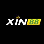 xin88sh Profile Picture