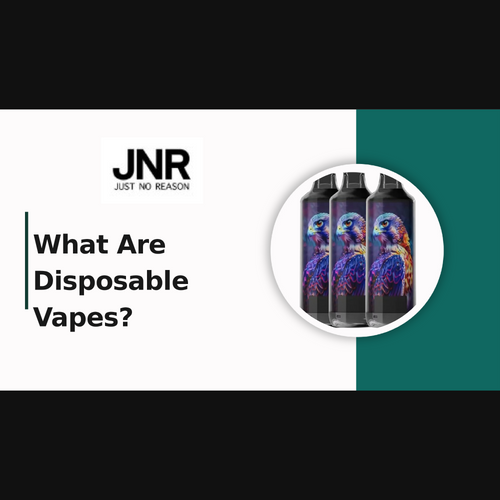 What Are Disposable Vapes?