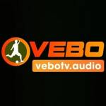 VEBO TV Profile Picture