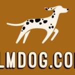 Ilm Dog Com Profile Picture