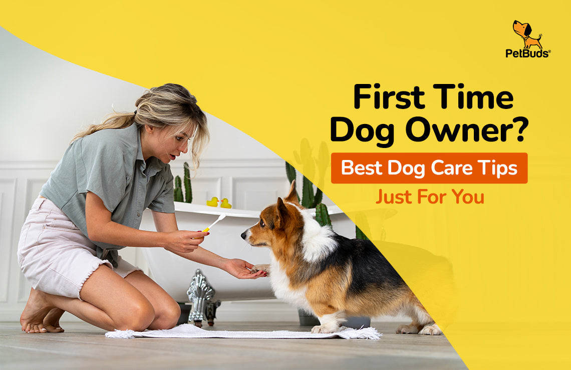 First Time Dog Parent? Best Dog Care Tips Just For You  – PetBuds