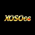 Xoso66 profile picture