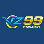 vz99com review