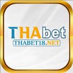 THABET18 net profile picture