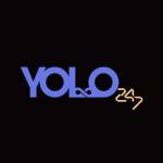 Yolo247 Official Profile Picture