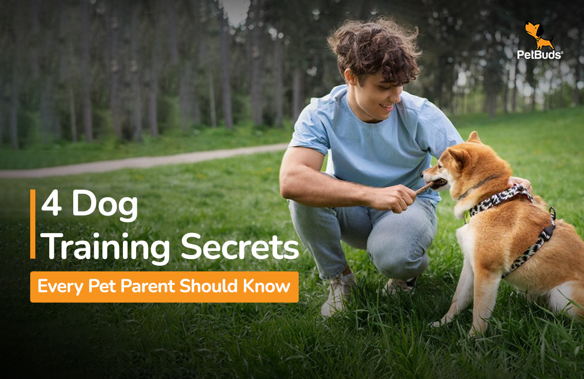 4 Dog Training Secrets Every Pet Parent Should Know  – PetBuds