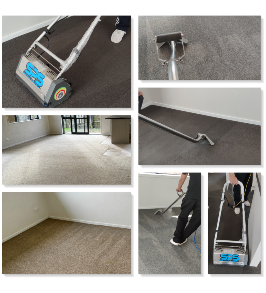 Professional Carpet Cleaning in Hamilton | Get Free Quote