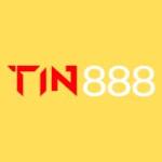 TIN 888 Profile Picture