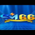 sm66 sarl Profile Picture